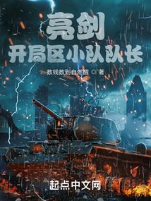 亮剑开局区小队队长