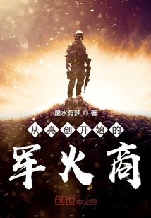 从亮剑开始的军火商 小说