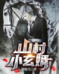 山村小玄婿