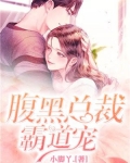 腹黑总裁霸道爱