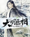 大明锦医 小说