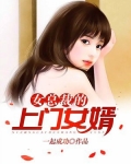 女总裁的上门女婿(又名:叶凡)