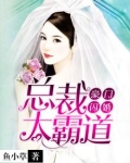 豪门闪婚：总裁太霸道