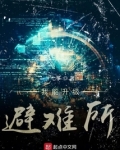我能升级避难所好看吗