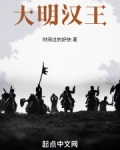 大明汉王朱栎的小说