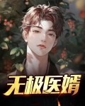 小说 无极神医 免费阅读