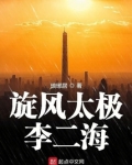 旋风太极李二海txt