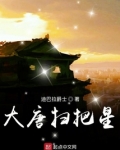 大唐扫把星女主推倒顺序