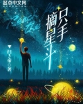 只手摘星斗
