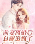 总裁前妻离婚后爱情