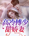 高冷傅少甜娇妻
