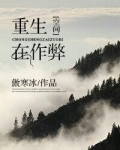 重生在作弊