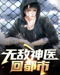 无敌神医叶琦