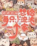 请给流浪猫一个家