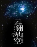 云翎小说全集