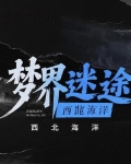 梦界迷途