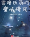 霍格沃茨的魔法研究 小说