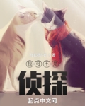 我可不是侦探