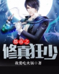 都市之修真狂少