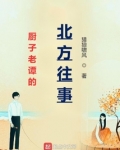 厨子老谭的北方往事