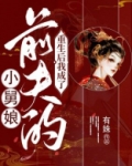 重生后我成了前夫的小舅娘