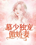 慕少独宠傲娇妻全文阅读