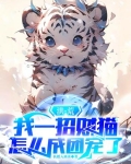 洪荒：我一招财猫，怎么成团宠了