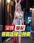 全球婚配：开局选择公孙离