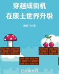 穿越成街机，在废土世界升级