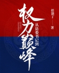 从县委书记到权力巅峰免费完整版