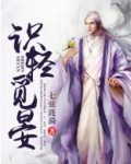 识轻觅晏免费阅读
