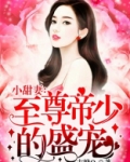 至尊帝少的盛宠txt