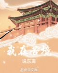 我在苦境说东离小说