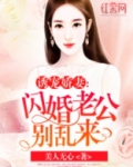 闪婚老公藏不住完全版电视剧