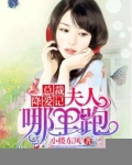 总裁降爱记：夫人哪里跑