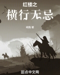 穿越红楼纵横四海
