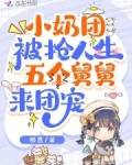 五岁小奶团五个大佬宠上天