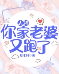 大神你家老婆又跑了