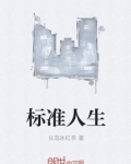 标准人生小说