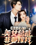 相亲走错门,美女总裁非要嫁我免费阅读
