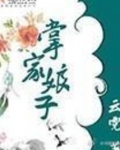 掌家娘子俏夫郎免费阅读无弹窗
