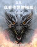 盘龙之最强辅助飞卢