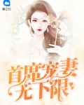 霸道总裁宠妻无下限