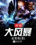 神能大风暴