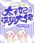 太子妃她是满级大佬
