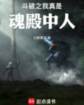 斗破之我真是魂殿中人