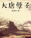 大唐孽子 小说