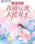 书穿后我被反派大佬觊觎了