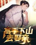 高手下山去娶亲小说洛天杨沐雪