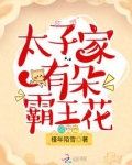 太子家有朵霸王花完结百度云